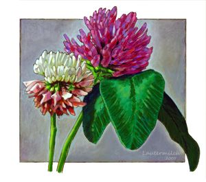Clover - Paintings by John Lautermilch