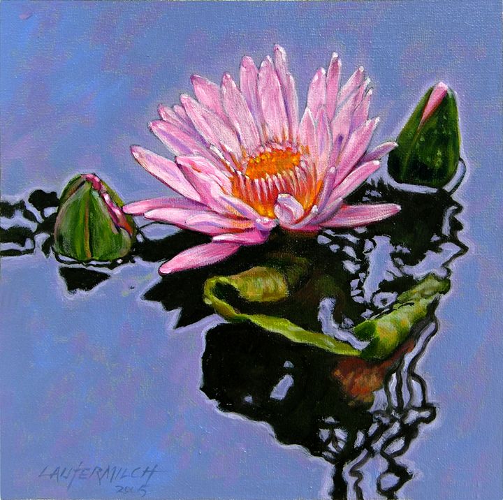 Pink Lily with Dancing Reflections - Paintings by John Lautermilch