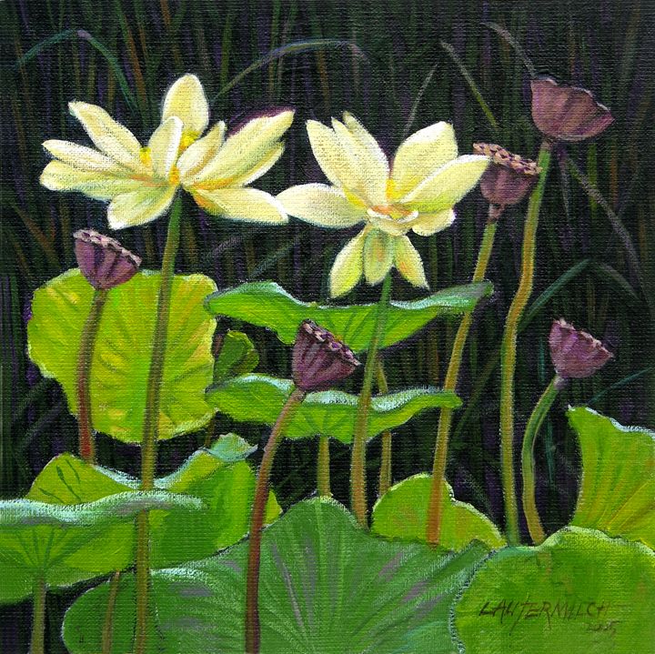 Touching Lotus Blooms 113-2005 - Paintings by John Lautermilch