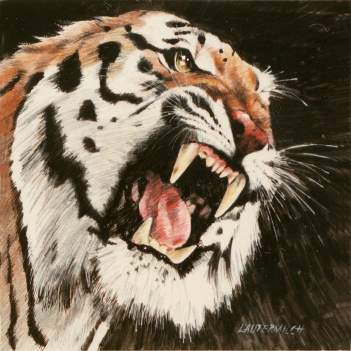 Tiger 123-2005 - Paintings by John Lautermilch