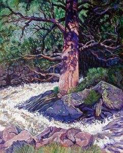 Old Pine in Rushing Stream - Paintings by John Lautermilch