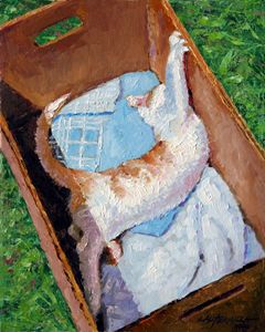 Cat in a Box - Paintings by John Lautermilch