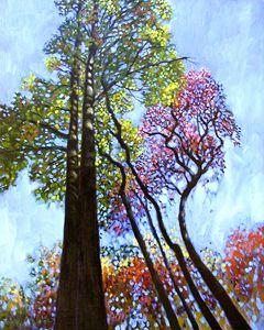 Sunlight on Upper Branches - Paintings by John Lautermilch