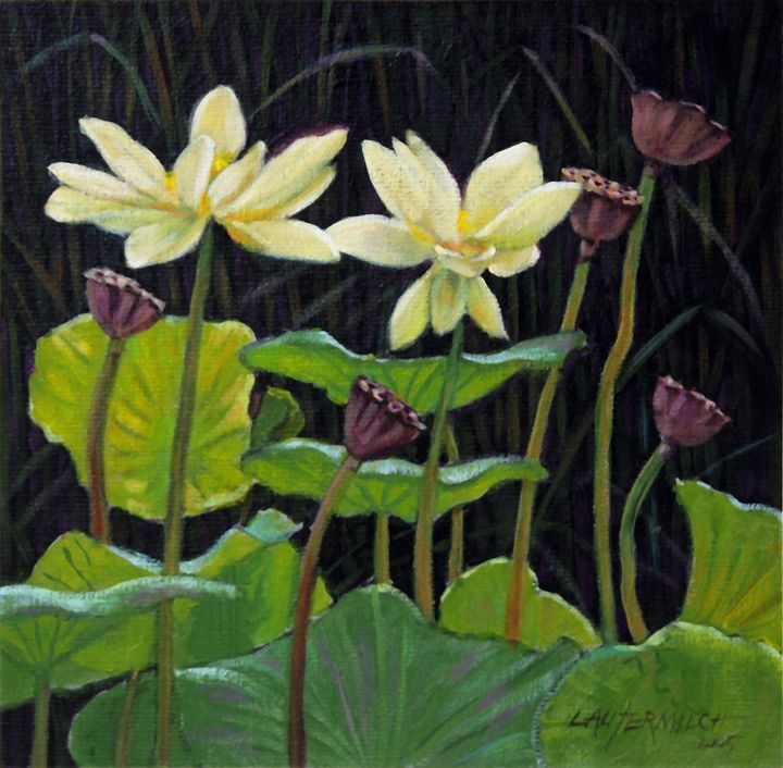 Touching Lotus Blooms - Paintings by John Lautermilch