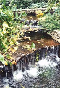 Georgia Waterfall - Paintings by John Lautermilch