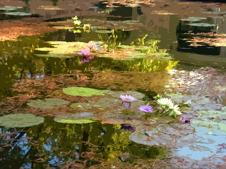 Fall Water Lilies - Paintings by John Lautermilch