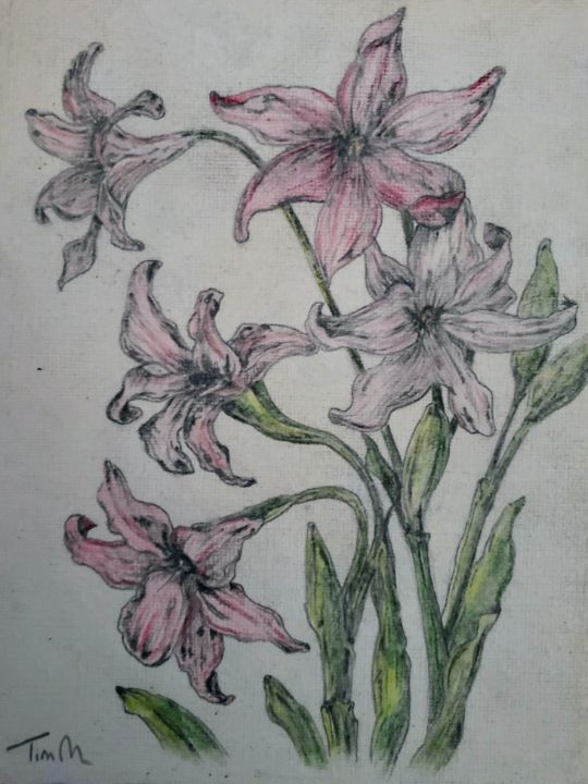 Flowers antique 1 - Timothy M - Drawings & Illustration, Flowers ...