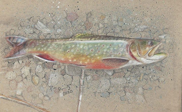 Georgia Brook Trout - Delestrezart - Paintings & Prints, Animals, Birds ...