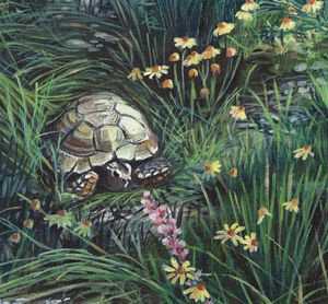 Buy Turtles & Tortoises, Reptiles & Amphibians, Animals, Birds, & Fish,  Paintings & Prints at ArtPal