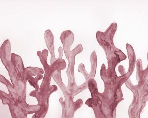 珊瑚 作品集「LUCORAL'S ART OF CORAL SINCE 1963 珊瑚 作品集「LUCORAL´S ART OF CORAL SINCE 1963
