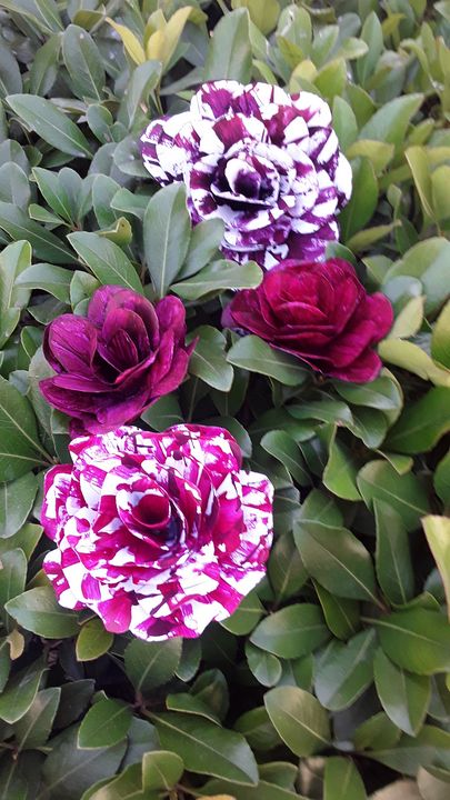 Paper Roses Violet Striped paper roses - Violet Star - Crafts & Other Art, Other Crafts ...
