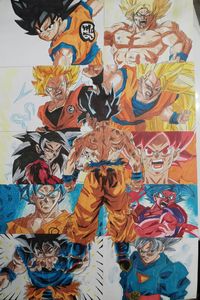Goku's Evolution