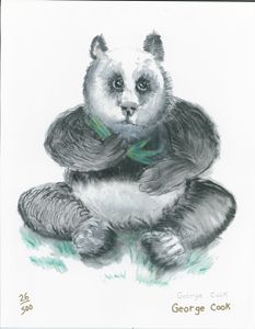 Nap - dessinateur777 - Drawings & Illustration, Animals, Birds, & Fish,  Bears, Panda - ArtPal