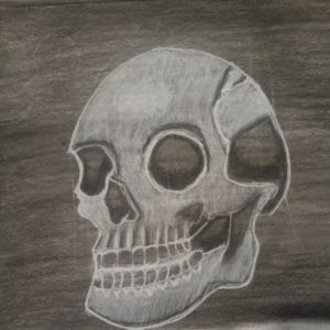 Negative human skull