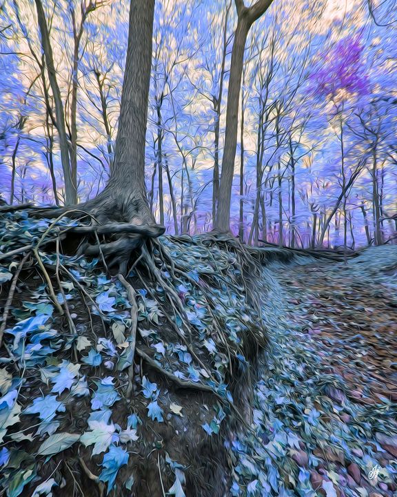 Enchanted Wooded Creek - JSJ Designs Studio