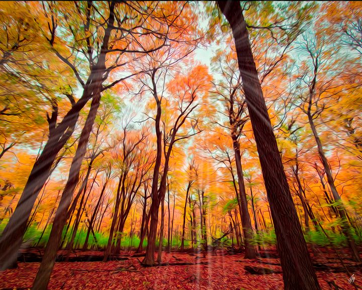 Sunray Colors of Woods - JSJ Designs Studio