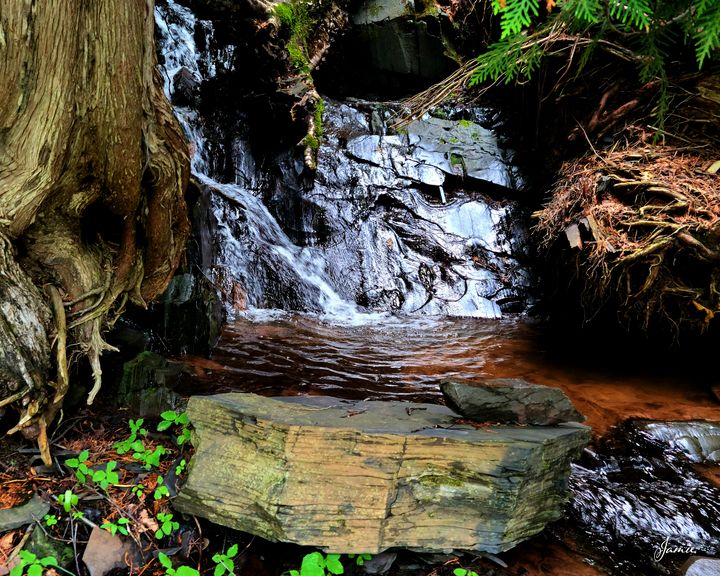 Small Hidden Waterfall - JSJ Designs Studio