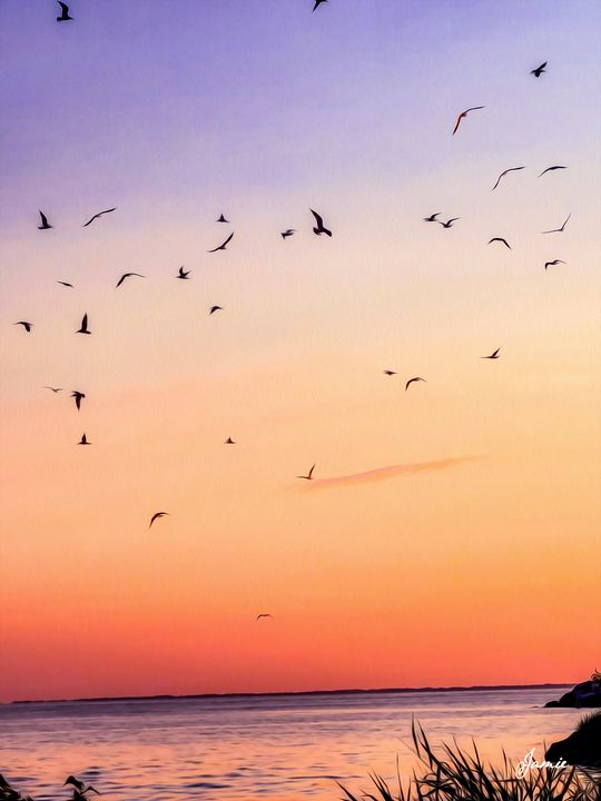 Birds Playing in the Sunset - JSJ Designs Studio