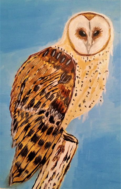 BARRED OWL 2021 - Moment 2 Moment Art Studio
