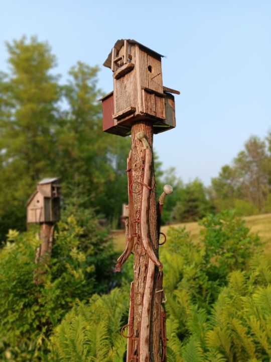 Julie Frechette Photography Paintings Prints julie-frechette-photography-paintings-prints