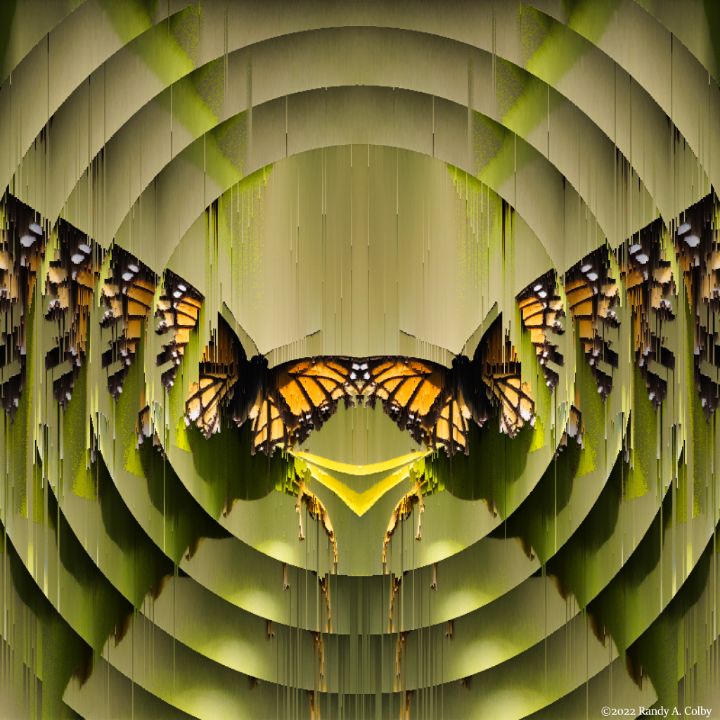 Butterfly Glitch 01 - Randy Colby