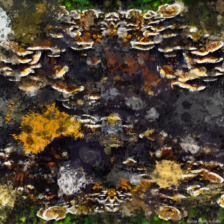 Fungus Splatter 01 - Randy Colby