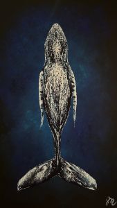 the right whale to paint - Heather Van Doorn - Paintings & Prints
