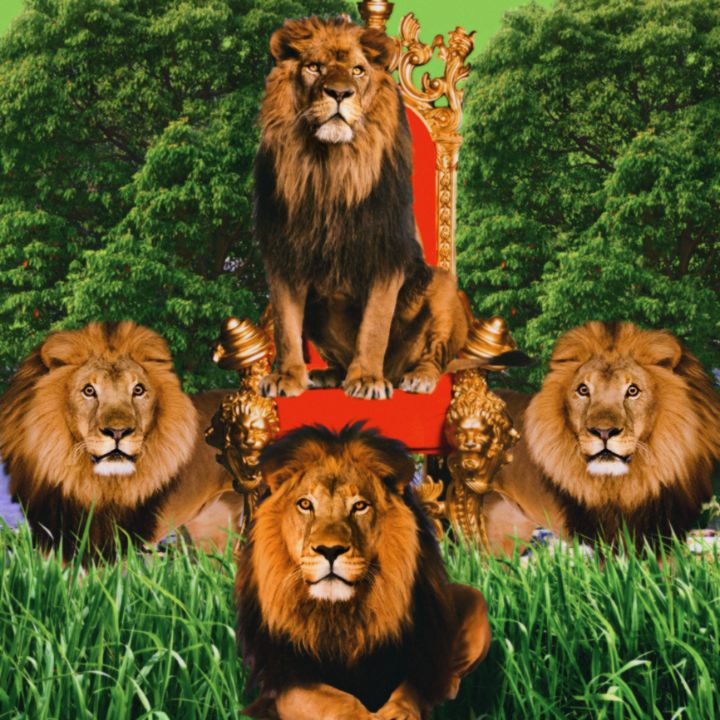 Lion Kings - Single Graphics