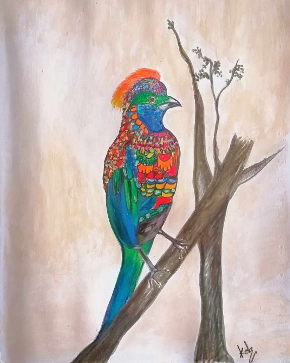 Bird coulorfulB - Kob - Drawings & Illustration, Animals, Birds, & Fish ...