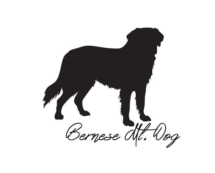 Bernese Mt. Dog Silhouette - Areca Pet Shop