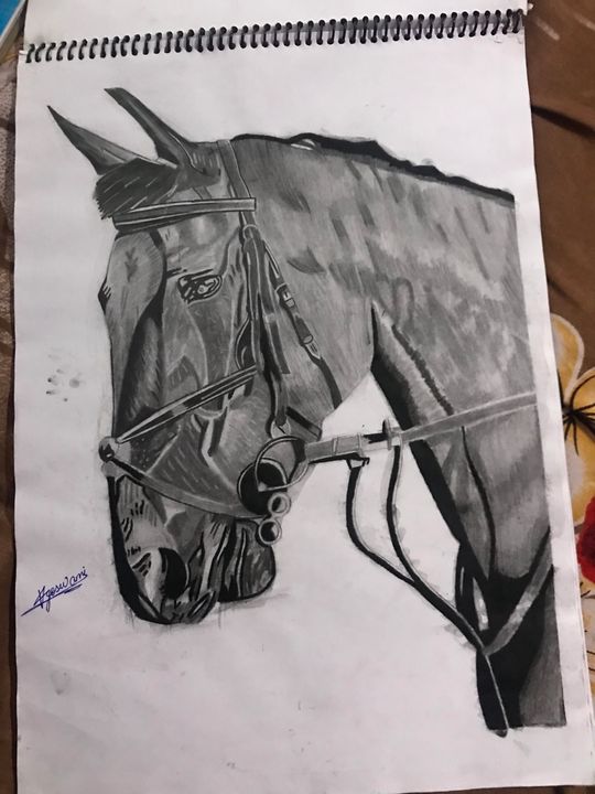 Rearing Horse Realistic Drawing  Drawing Skill