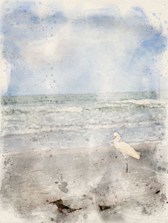 White Crane on Honeymoon Island - CAPow Art & Design - Paintings ...