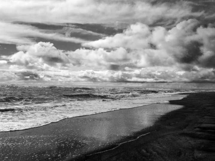 BW Rugged Coast of the PNW 3/3 - 360 Studios Fine Art - William Robert ...