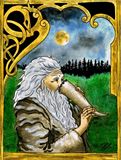 Nordic Vikings Runes & Dragons