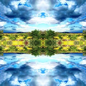 Enchanted Blue Skies