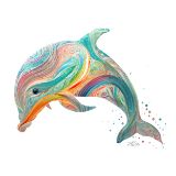 Dolphin Illustrations