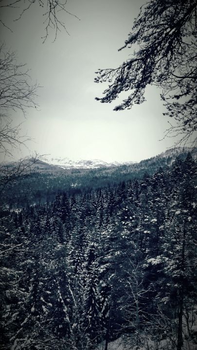 Winter mountains - Redlaps