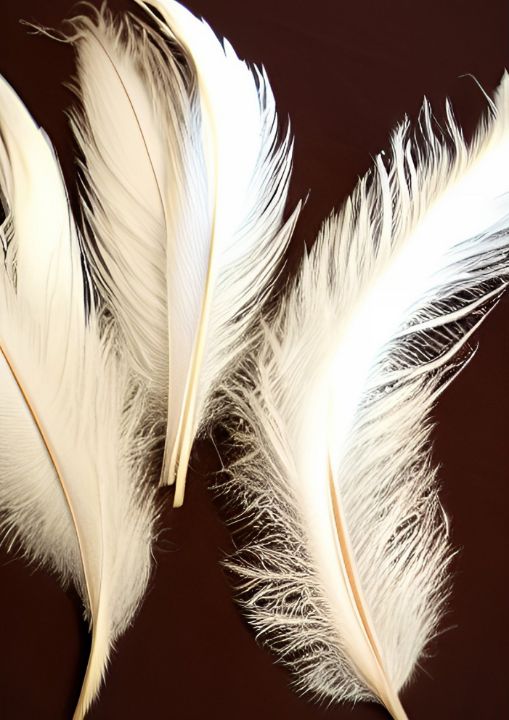 White Feathers - Tzur Zachary Studio - Paintings & Prints, Abstract ...