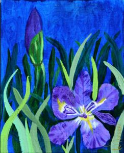 Louisiana Water Iris