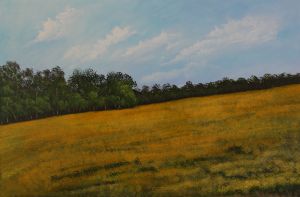 Field Of Crops - Stuart Matthews