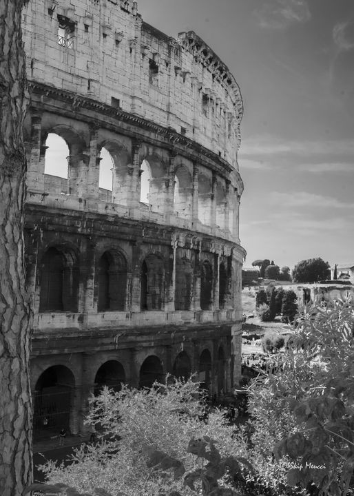 Roman Colosseum, Rome Italy - Skip's Photo Art Showcase