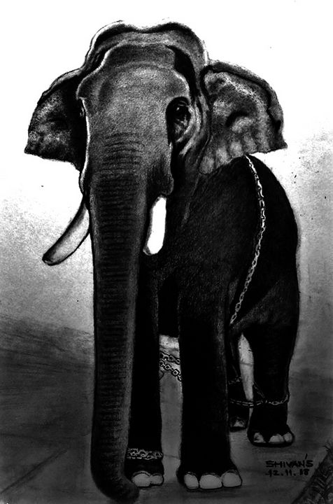 Kerala Elephant Festival #3 Digital Art by Carol Ailles - Pixels