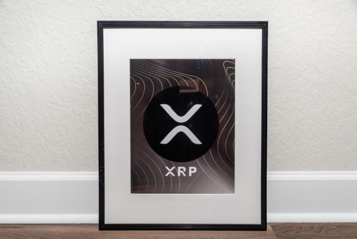 XRP - TheCryptoArtStore