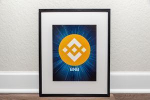BNB - TheCryptoArtStore