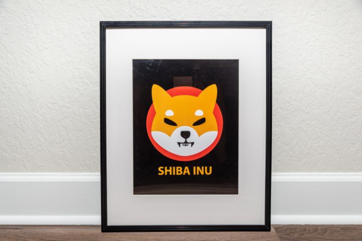 SHIBA INU - TheCryptoArtStore