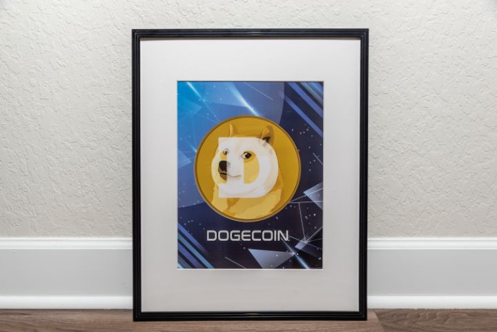 Doge coin - TheCryptoArtStore