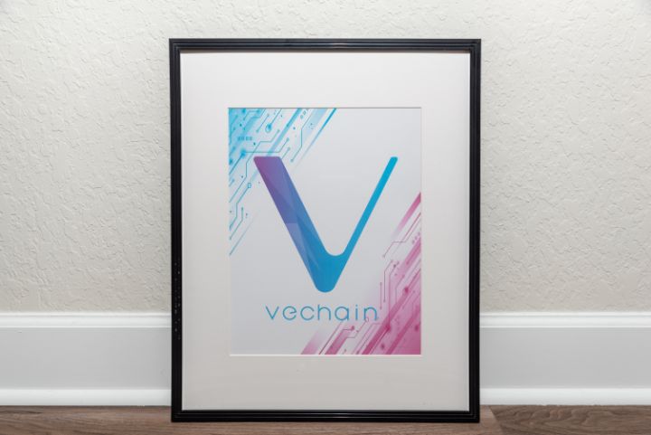 Vechain - TheCryptoArtStore