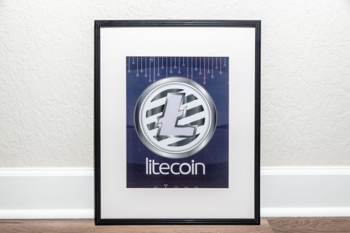 litecoin - TheCryptoArtStore