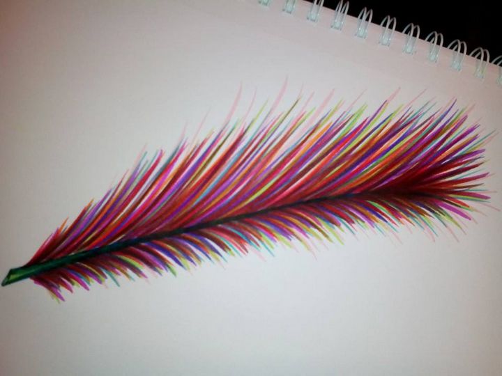 Rainbow feather - Ceecee's Heart and Soul
