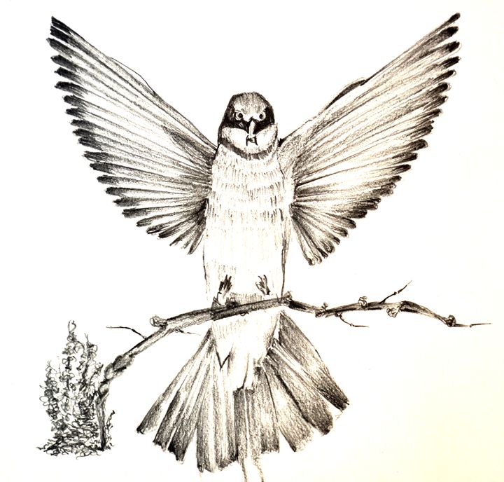 Hand sketched Bird - Creation by SS